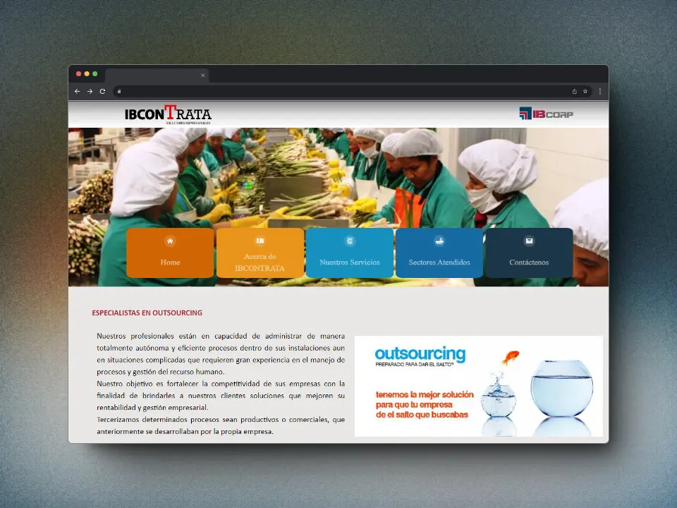 Captura de pantalla del proyecto /projects/ibcontrata.webp